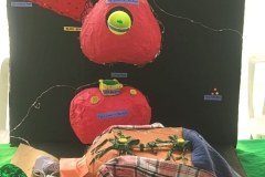 WhatsApp-Image-2026-03-11-at-4.22.04-PM-1