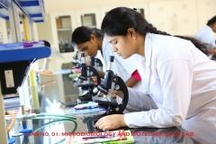 LAB-1