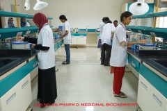 LAB-20
