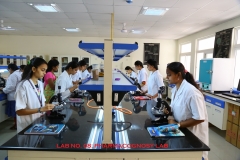 LAB-8