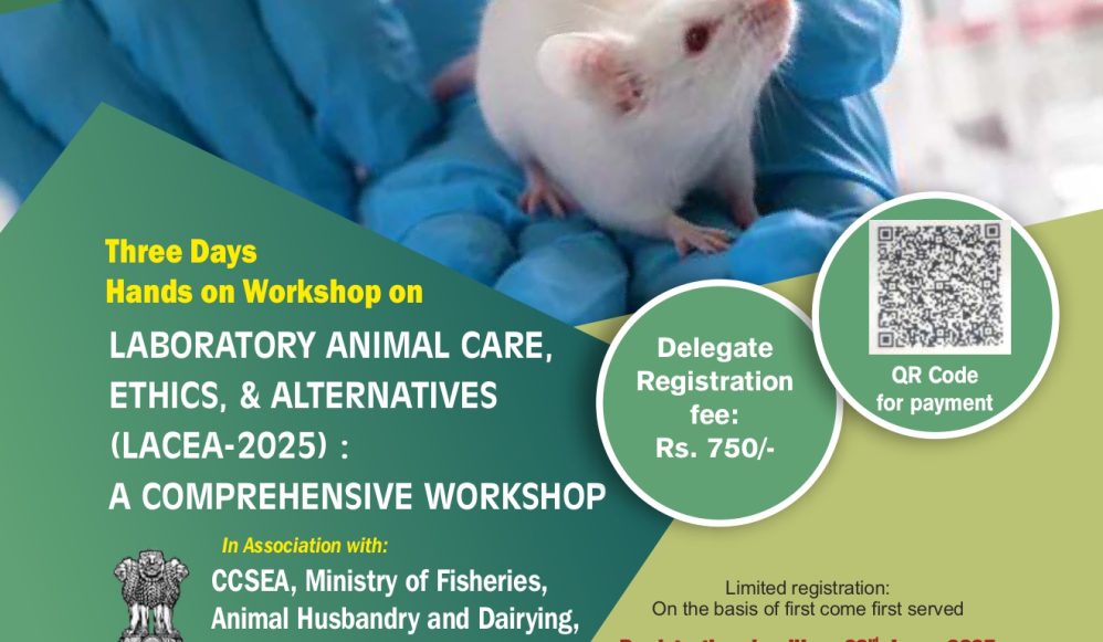 Workshop on LACEA-2025